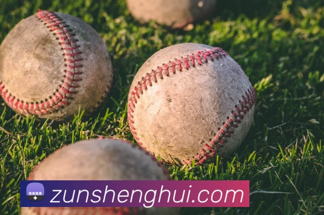 奖项图2